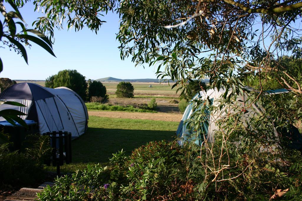 Millicent Hillview Caravan Park Exteriör bild