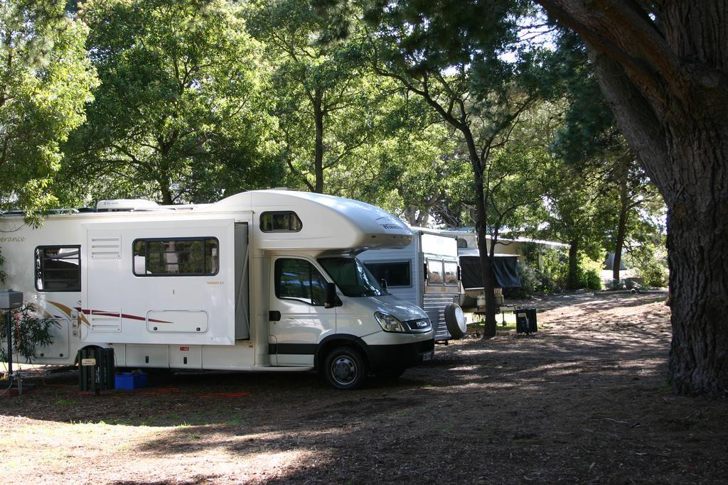 Millicent Hillview Caravan Park Exteriör bild