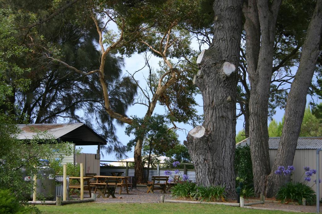 Millicent Hillview Caravan Park Exteriör bild