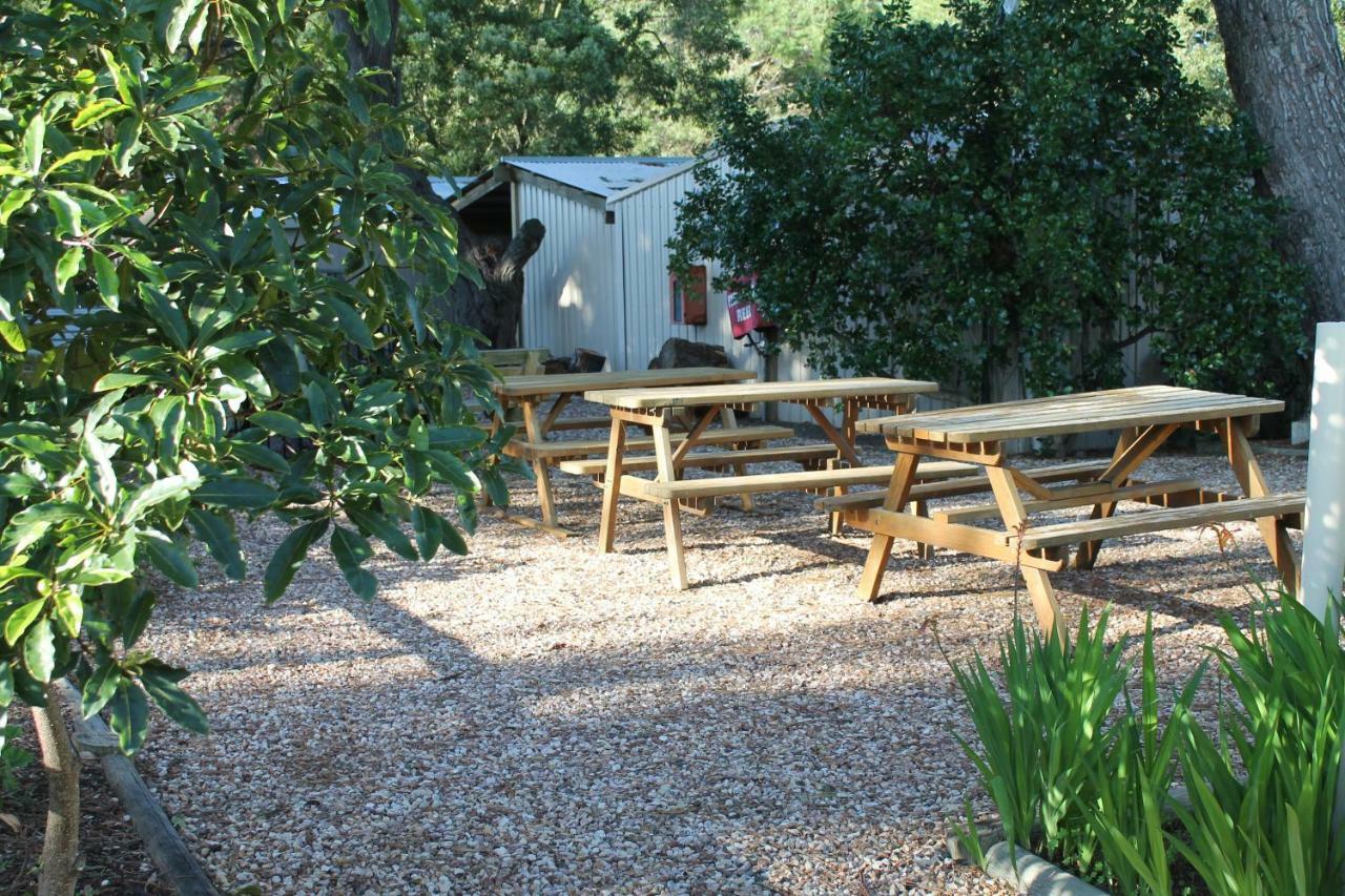 Millicent Hillview Caravan Park Exteriör bild
