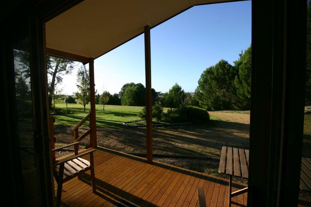 Millicent Hillview Caravan Park Exteriör bild